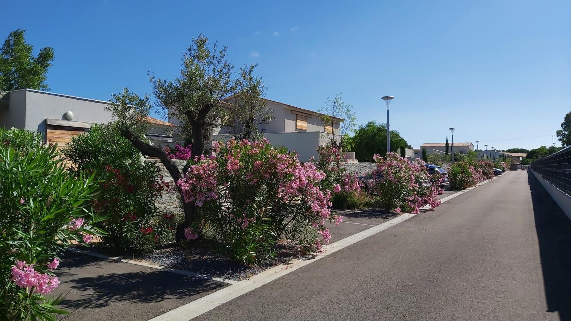Villa Home Holiday A Cala Rossa Lecci Exterior photo